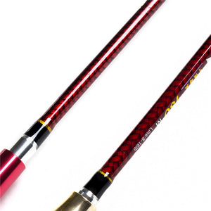 Spinning Casting Lake Fishing Rod