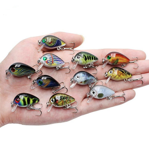 Floating Fishing Lure