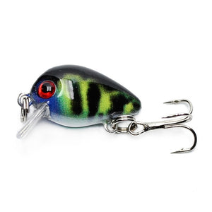 Floating Fishing Lure