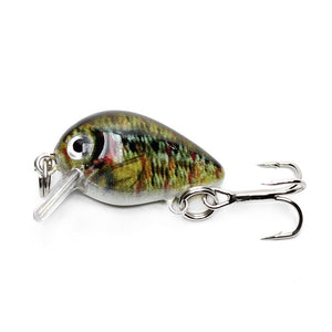 Floating Fishing Lure