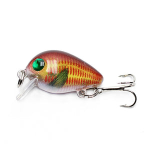 Floating Fishing Lure