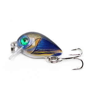 Floating Fishing Lure