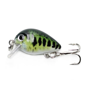 Floating Fishing Lure