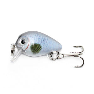 Floating Fishing Lure