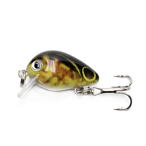 Floating Fishing Lure