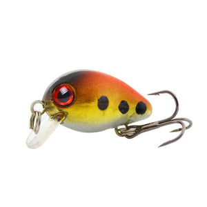 Floating Fishing Lure