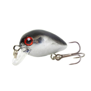 Floating Fishing Lure