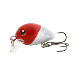 Floating Fishing Lure