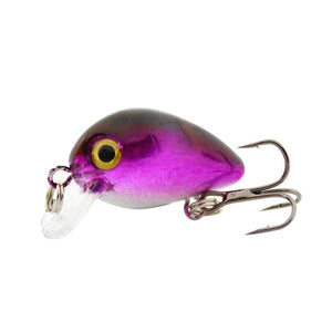 Floating Fishing Lure