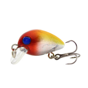 Floating Fishing Lure