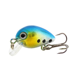 Floating Fishing Lure