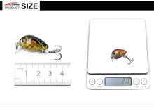 Load image into Gallery viewer, Floating Fishing Lure