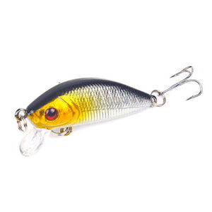 Hard Bait Bass Crankbait