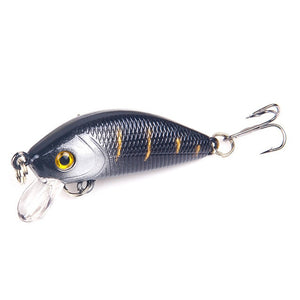 Hard Bait Bass Crankbait