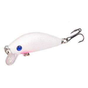 Hard Bait Bass Crankbait