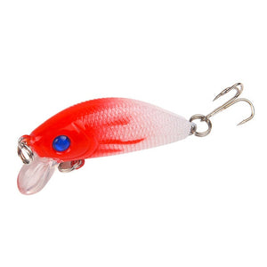 Hard Bait Bass Crankbait