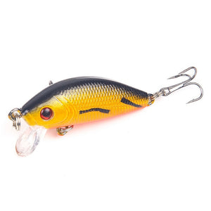 Hard Bait Bass Crankbait